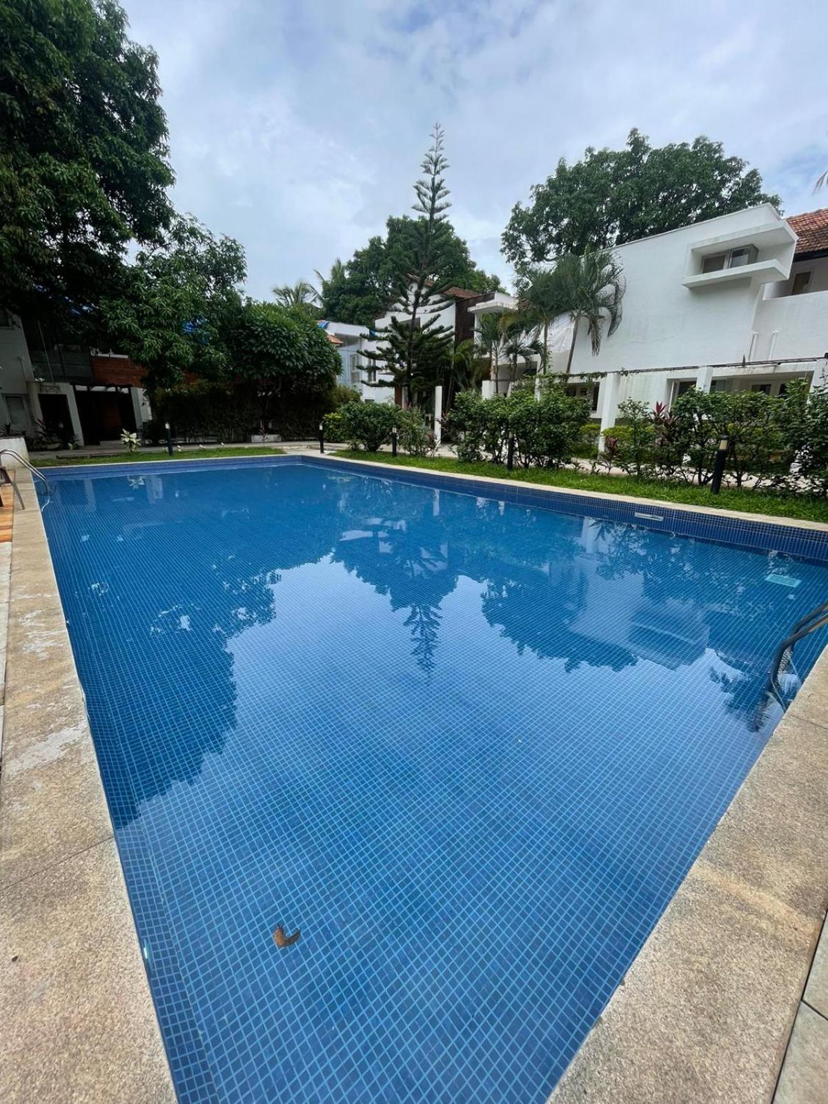 Villa M - Solitude 2 Candolim Goa 3Bhk, Pool Facing, Near Beach, Free Breakfast, Free Wifi And Prime Location Zewnętrze zdjęcie